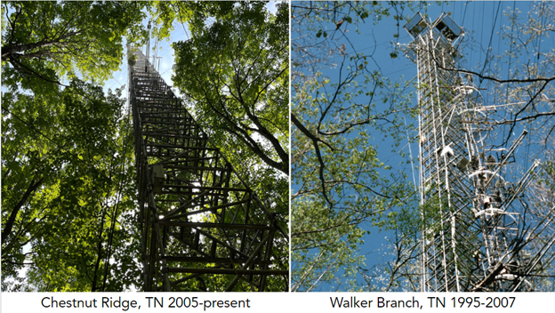 pictures of two towers. The image on the left looks up through heavy canopy at the Chestnut Ridge tower in TN 2005-present. The image on the right looks up through sparse canopy at the Walker Branch tower in TN from 1995-2007