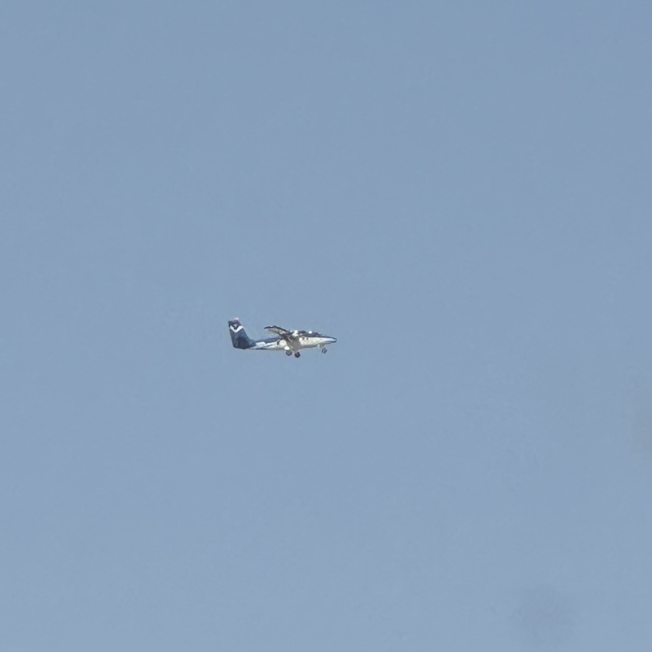 photo of a small NOAA propeller plane in the sky